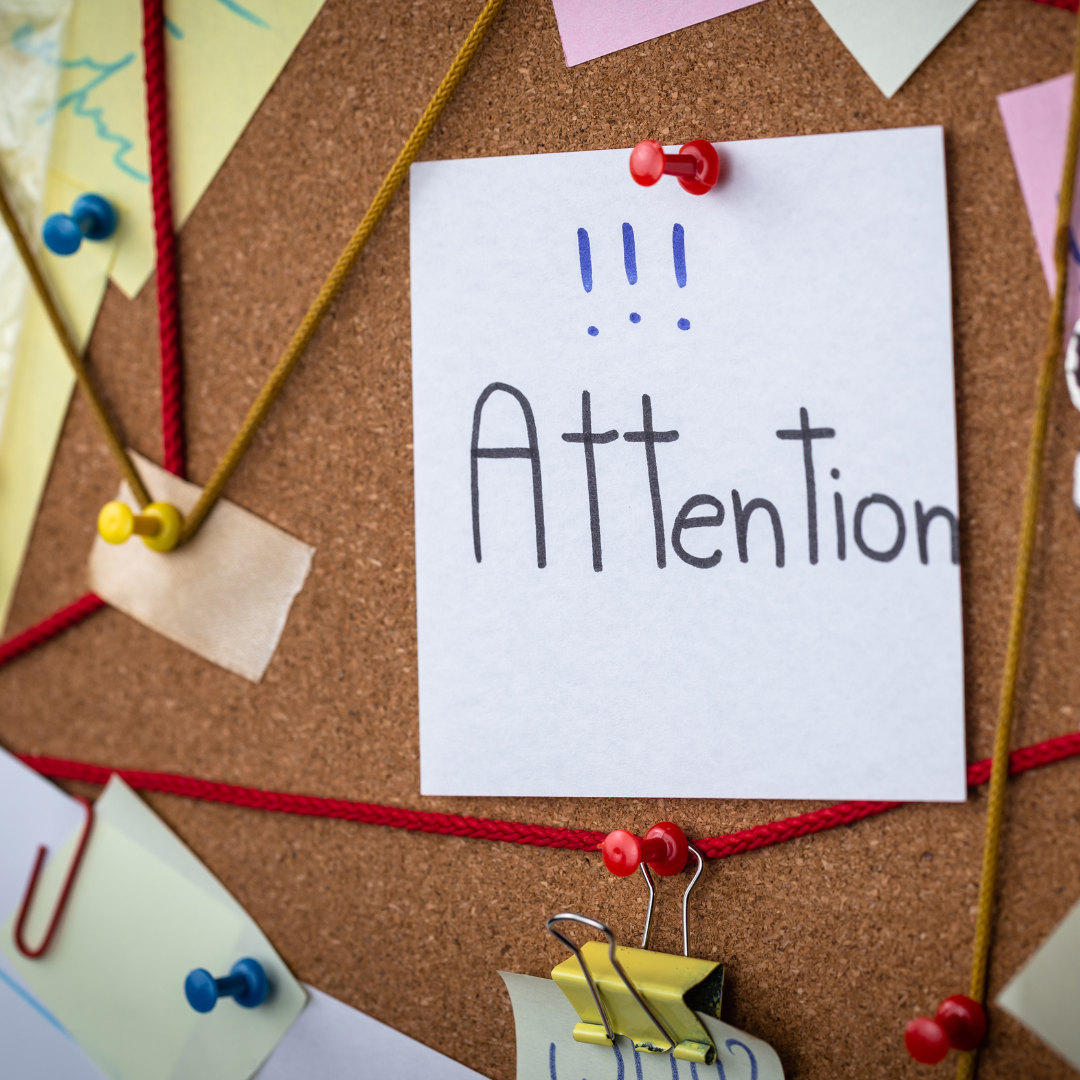 Junior Detective Workshop at The Shellharbour Club
